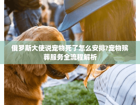 俄罗斯大使说宠物死了怎么安排?宠物殡葬服务全流程解析