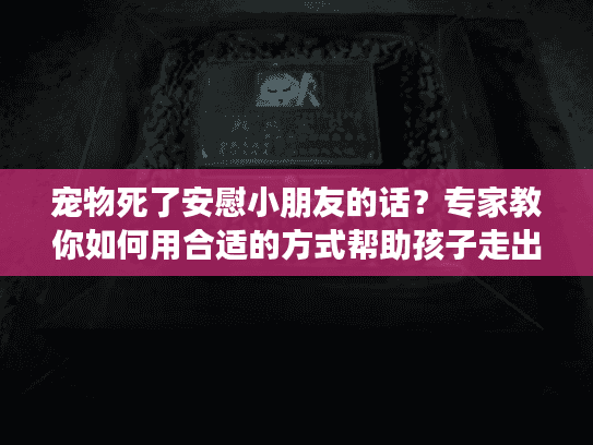宠物死了安慰小朋友的话？专家教你如何用合适的方式帮助孩子走出悲伤