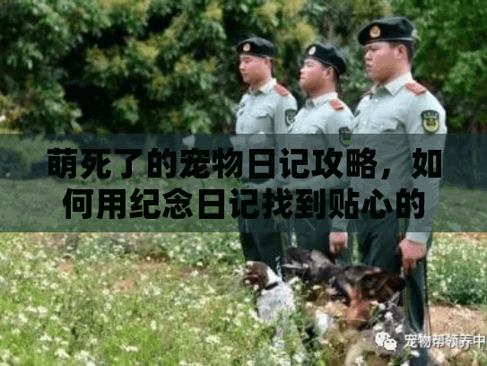 萌死了的宠物日记攻略，如何用纪念日记找到贴心的宠物殡葬服务？