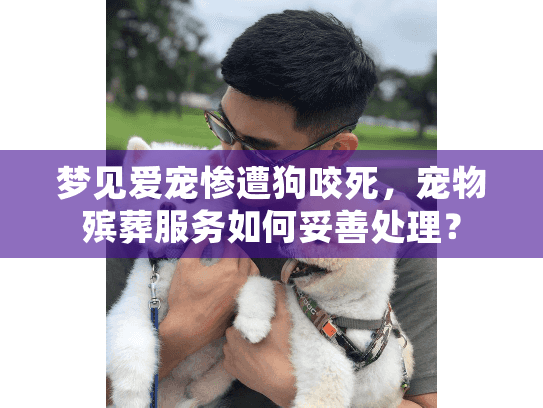 梦见爱宠惨遭狗咬死，宠物殡葬服务如何妥善处理？