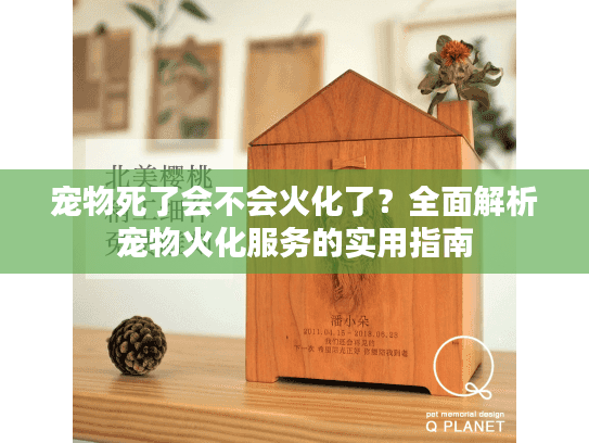 宠物死了会不会火化了？全面解析宠物火化服务的实用指南