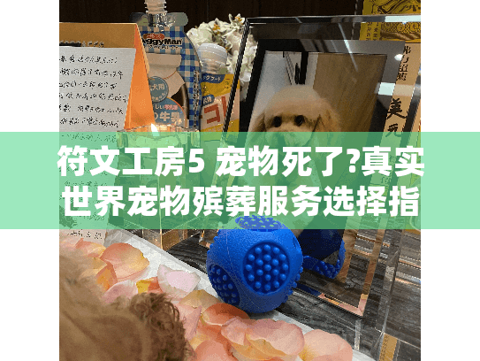 符文工房5 宠物死了?真实世界宠物殡葬服务选择指南