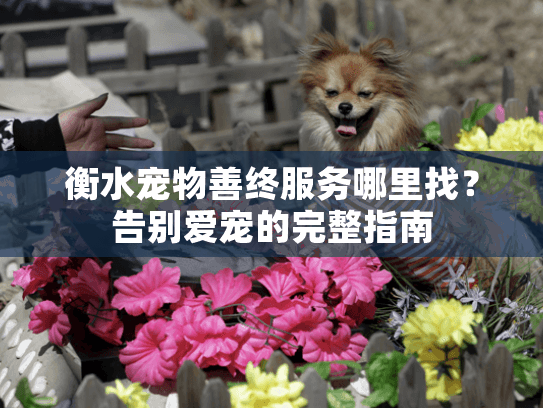 衡水宠物善终服务哪里找？告别爱宠的完整指南