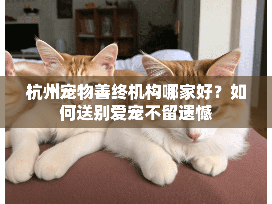 杭州宠物善终机构哪家好？如何送别爱宠不留遗憾