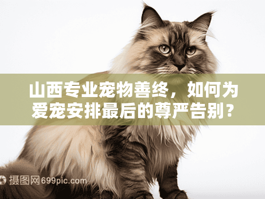 山西专业宠物善终，如何为爱宠安排最后的尊严告别？