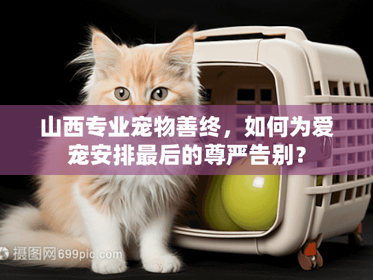山西专业宠物善终，如何为爱宠安排最后的尊严告别？