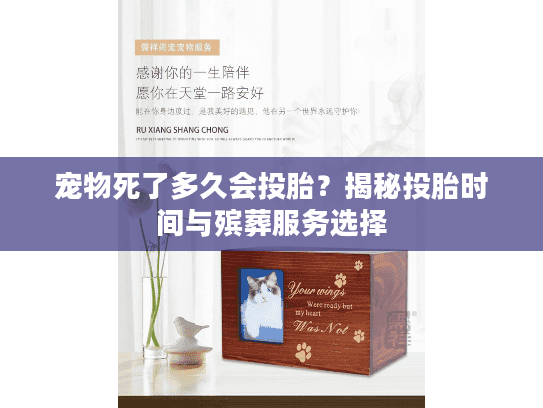 宠物死了多久会投胎？揭秘投胎时间与殡葬服务选择