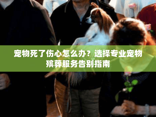 宠物死了伤心怎么办？选择专业宠物殡葬服务告别指南