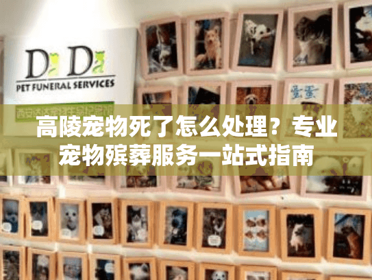 高陵宠物死了怎么处理？专业宠物殡葬服务一站式指南