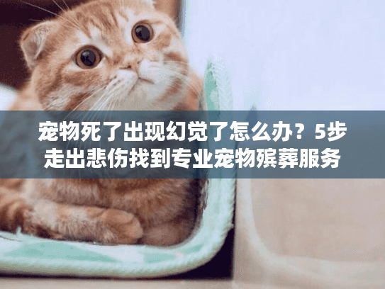 宠物死了出现幻觉了怎么办？5步走出悲伤找到专业宠物殡葬服务