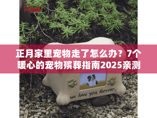 正月家里宠物走了怎么办？7个暖心的宠物殡葬指南2025亲测