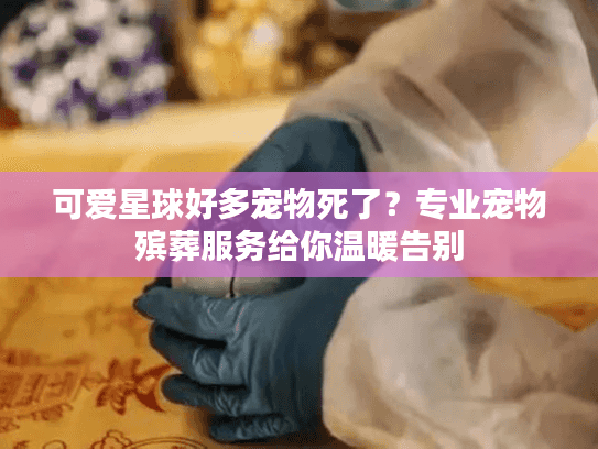 可爱星球好多宠物死了？专业宠物殡葬服务给你温暖告别