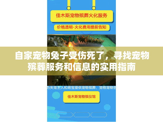 自家宠物兔子受伤死了，寻找宠物殡葬服务和信息的实用指南