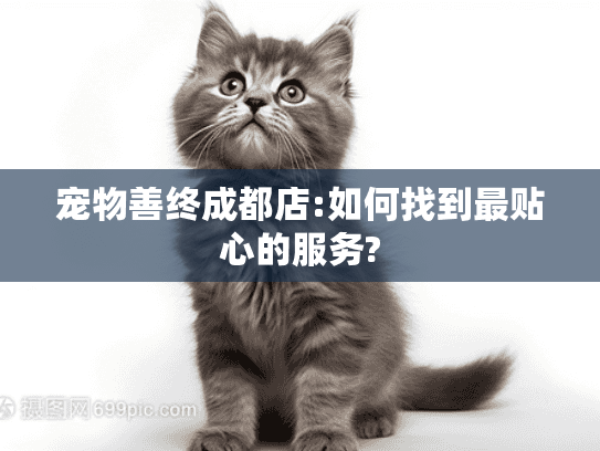 宠物善终成都店:如何找到最贴心的服务?