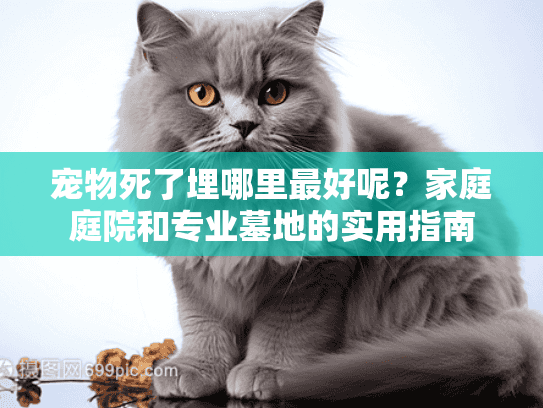 宠物死了埋哪里最好呢？家庭庭院和专业墓地的实用指南