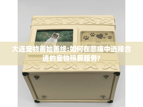 大连宠物善始善终:如何在悲痛中选择合适的宠物殡葬服务?