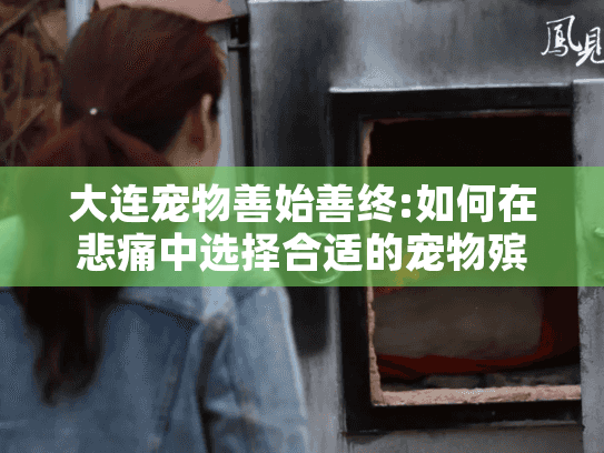 大连宠物善始善终:如何在悲痛中选择合适的宠物殡葬服务?