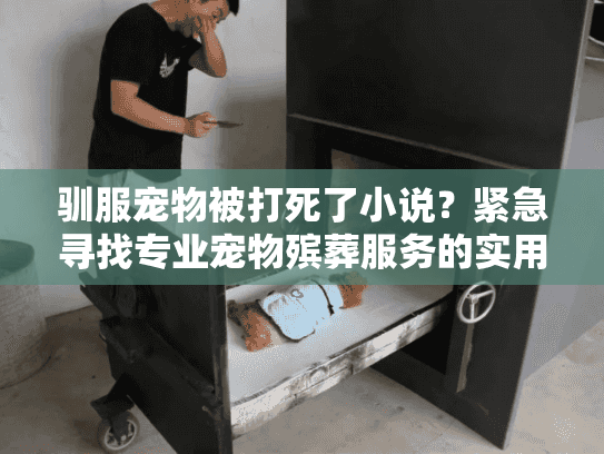 驯服宠物被打死了小说？紧急寻找专业宠物殡葬服务的实用指南