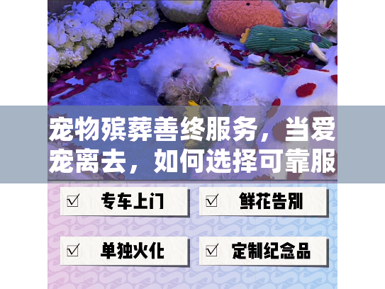 宠物殡葬善终服务，当爱宠离去，如何选择可靠服务？