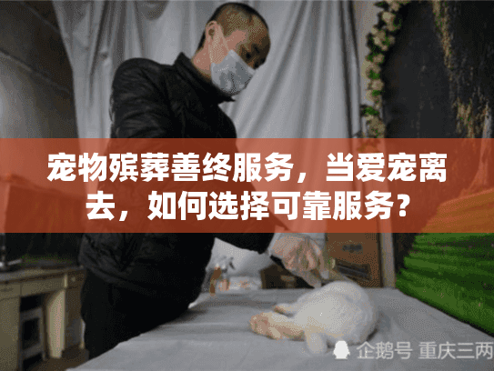 宠物殡葬善终服务，当爱宠离去，如何选择可靠服务？
