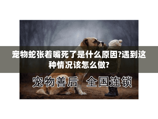 宠物蛇张着嘴死了是什么原因?遇到这种情况该怎么做?