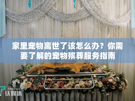 家里宠物离世了该怎么办？你需要了解的宠物殡葬服务指南