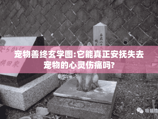 宠物善终玄学图:它能真正安抚失去宠物的心灵伤痛吗?
