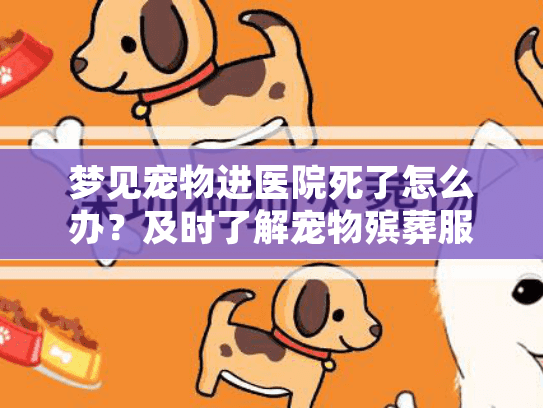 梦见宠物进医院死了怎么办？及时了解宠物殡葬服务很重要