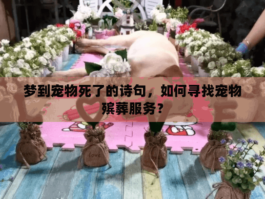 梦到宠物死了的诗句，如何寻找宠物殡葬服务？