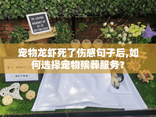 宠物龙虾死了伤感句子后,如何选择宠物殡葬服务？