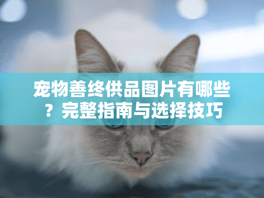 宠物善终供品图片有哪些？完整指南与选择技巧