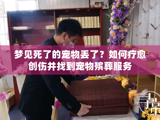 梦见死了的宠物丢了？如何疗愈创伤并找到宠物殡葬服务