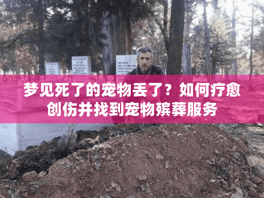 梦见死了的宠物丢了？如何疗愈创伤并找到宠物殡葬服务