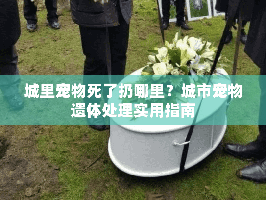 城里宠物死了扔哪里？城市宠物遗体处理实用指南