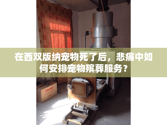 在西双版纳宠物死了后，悲痛中如何安排宠物殡葬服务？