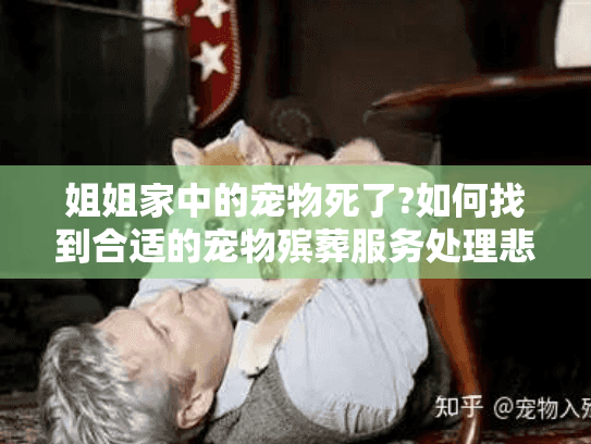 姐姐家中的宠物死了?如何找到合适的宠物殡葬服务处理悲伤时刻