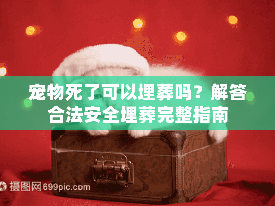 宠物死了可以埋葬吗?解答合法安全埋葬完整指南 宠物死了可以埋葬吗?解答合法安全埋葬完整指南