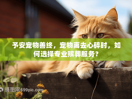予安宠物善终，宠物离去心碎时，如何选择专业殡葬服务？
