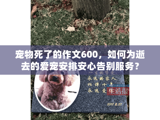 宠物死了的作文600，如何为逝去的爱宠安排安心告别服务？