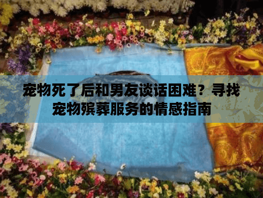 宠物死了后和男友谈话困难？寻找宠物殡葬服务的情感指南