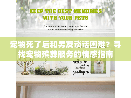 宠物死了后和男友谈话困难？寻找宠物殡葬服务的情感指南