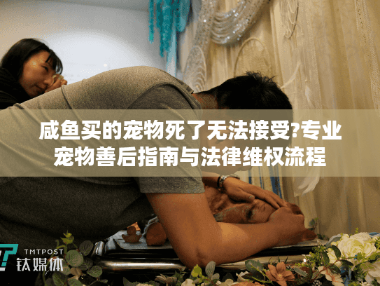 咸鱼买的宠物死了无法接受?专业宠物善后指南与法律维权流程