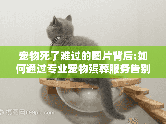 宠物死了难过的图片背后:如何通过专业宠物殡葬服务告别挚爱伙伴