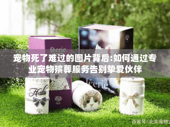 宠物死了难过的图片背后:如何通过专业宠物殡葬服务告别挚爱伙伴