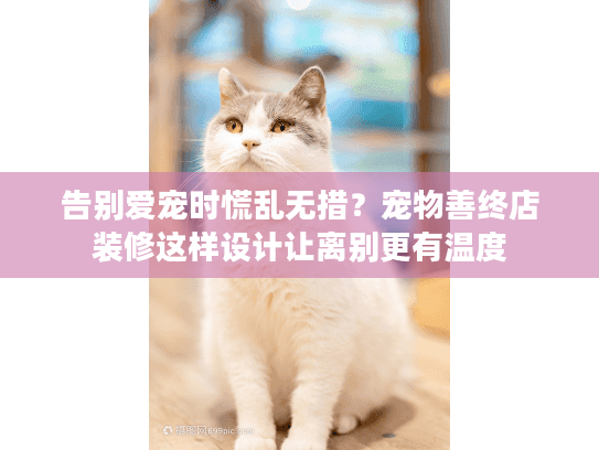 告别爱宠时慌乱无措？宠物善终店装修这样设计让离别更有温度