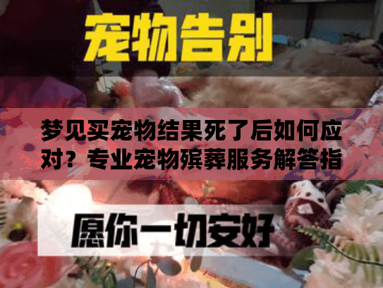 梦见买宠物结果死了后如何应对？专业宠物殡葬服务解答指南