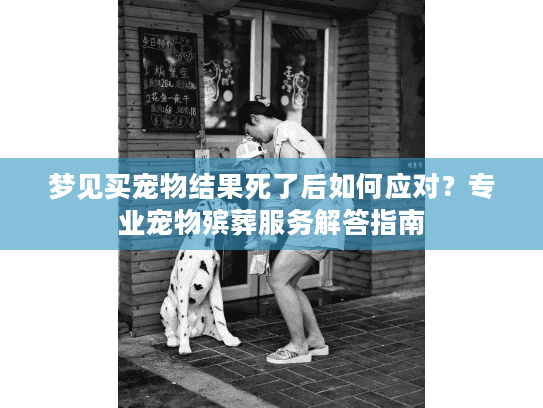 梦见买宠物结果死了后如何应对？专业宠物殡葬服务解答指南