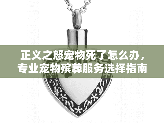 正义之怒宠物死了怎么办，专业宠物殡葬服务选择指南