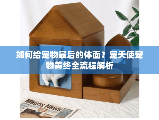 如何给宠物最后的体面？宠天使宠物善终全流程解析