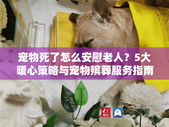 宠物死了怎么安慰老人?5大暖心策略与宠物殡葬服务指南 宠物死了怎么安慰老人?5大暖心策略与宠物殡葬服务指南